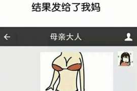 钦南资产调查